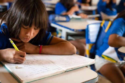 Aluna indígena da etnia Kalapalo durante aula na escola da Aldeia Aiha - Parque Indígena do Xingu.