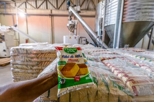 Fubá de milho produzido na unidade de beneficiamento de milho no Complexo Agroindustrial de Grãos da Coopera