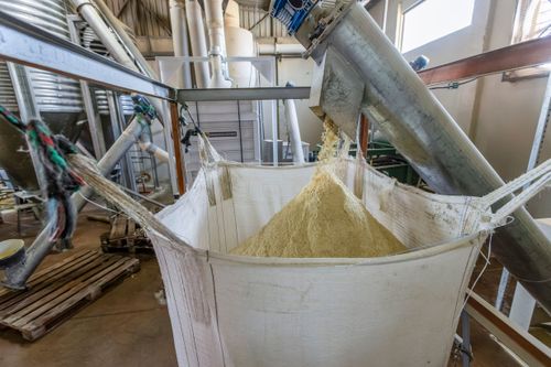 Produção de fubá na unidade de beneficiamento de milho no Complexo Agroindustrial de Grãos da Cooperativa