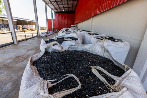 Feijão preto em big bag na unidade de beneficiamento de feijão no Complexo Agroindustrial de Grãos da Coope