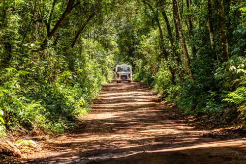 Estrada de terra dentro do Assentamento Eli Vive - MST Movimento dos Trabalhadores Rurais Sem Terra - distrito
