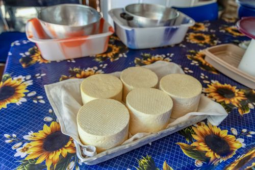 Queijos artesanais feitos por agricultora em sua moradia no Assentamento Eli Vive - MST Movimento dos Trabalha
