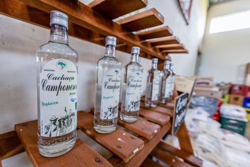 Cachaça orgânica à venda no Mercado da Reforma Agrária Popular no Assentamento Eli Vive - MST Movimento do