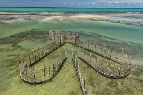 Vista de drone de curral na Praia de Ipioca - estruturas fixas que aproveitam o movimento das marés para capt