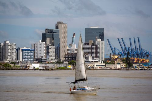 11CHF279
