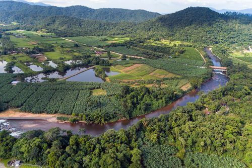 rio cubatão | Pulsar Imagens | Banco imagens do Brasil