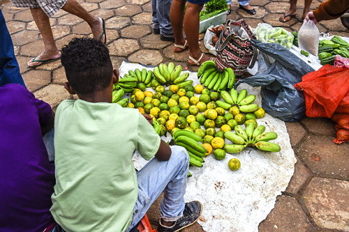 11LW102