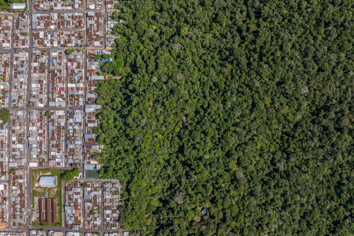 Contraste entre moradias do bairro Cidade de Deus e Jardim Botânico Adolpho Ducke do INPA