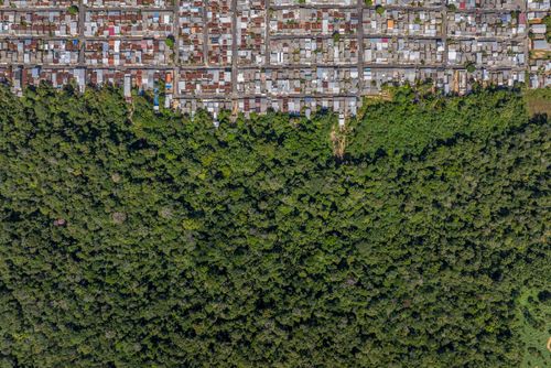 Contraste entre o Jardim Botânico Adolpho Ducke do INPA e moradias do bairro Cidade de Deus