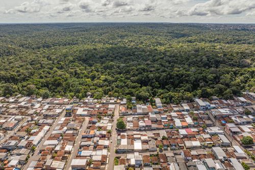 Contraste entre moradias do bairro Cidade de Deus e Jardim Botânico Adolpho Ducke do INPA