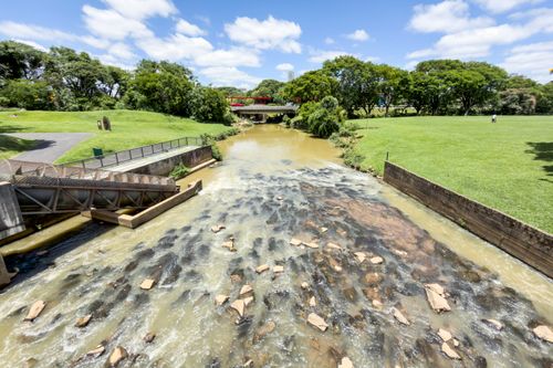 Parque Barigui - barragem sobre o rio Barigui formando lago artificial para contenção das enchentes