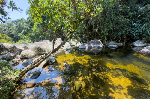 Parque Estadual Cunhambebe - Costa Verde