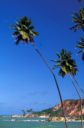 Tabatinga