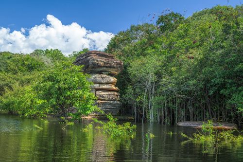 Pedra Sanduíche na margem do rio Negro - Parque Nacional de Anavilhanas