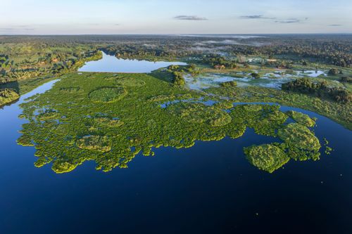 Vista de drone de planície alagavel do Pantanal