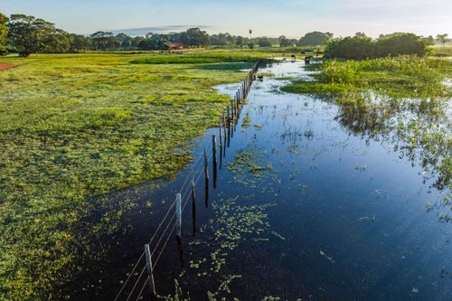 Vista de drone de planície alagavel do Pantanal - cerca de arame divisa de propriedade rural