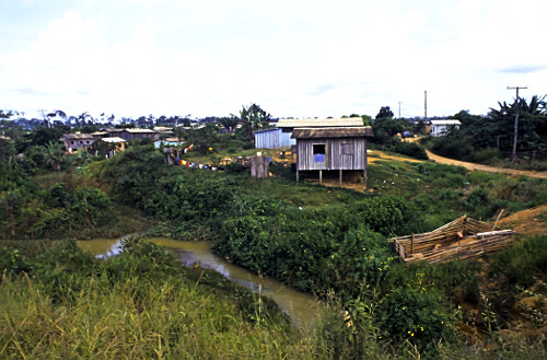 Casas de palafita na beira de córrego na zona rural - distrito de Extrema de Rondônia