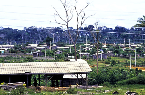 Moradias na zona rural do distrito de Extrema de Rondônia