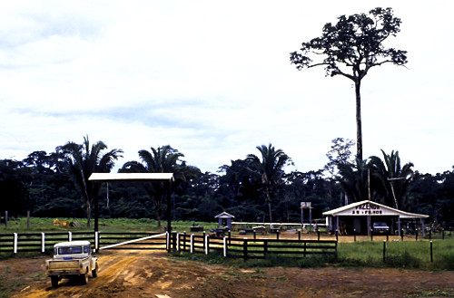 Automóvel na frente de porteira de propriedade rural - distrito de Extrema de Rondônia