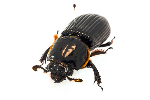 14LW671