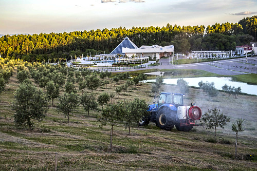 15GG198