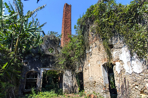Antiga fábrica de borracha em ruínas e tomada pela vegetação na