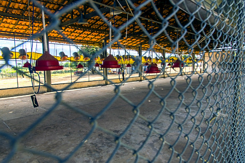 16LW375