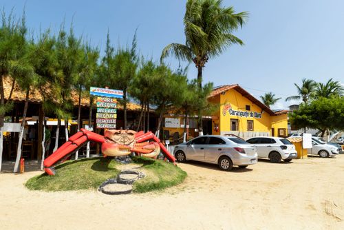 caranguejo | Pulsar Imagens | Banco imagens do Brasil
