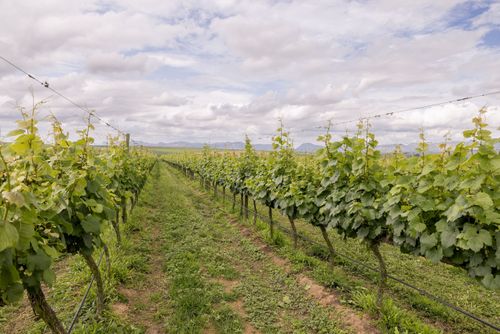 17ADR430
