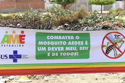 Zika | Pulsar Imagens | Banco imagens do Brasil