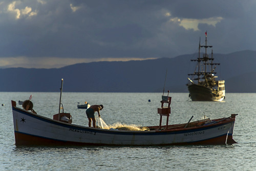 17PZ361