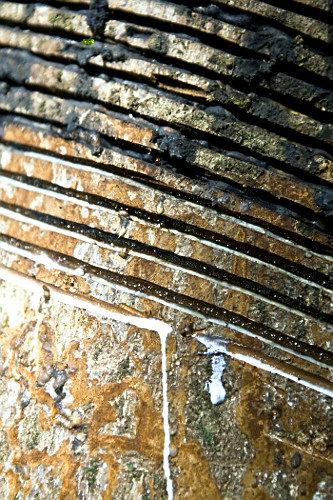 17RR486