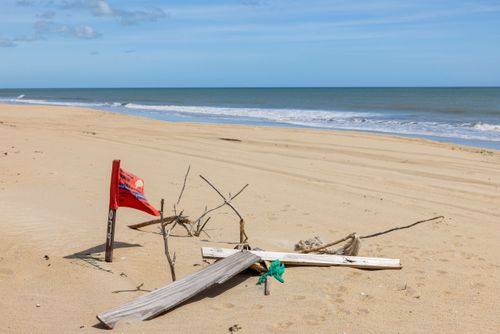 Bandeira e madeiras indicando ninho de tartarua - Polo Costa das Dunas