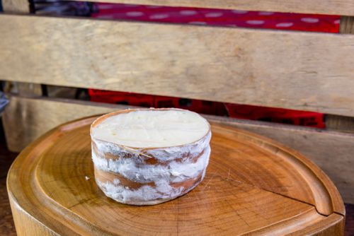 Queijo com mofo branco pronto para consumo em loja da fábrica