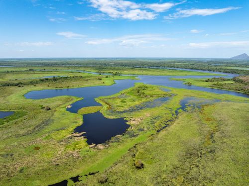  Vista de drone do Rio Paraguai e áreas alagadas - sub-região Pantanal do Paraguai - Pantanal Sul
