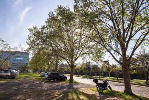 18GG493