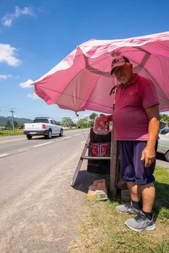 Produtor rural vendendo moranguinhos produzidos em sua propriedade na margem da BR-287