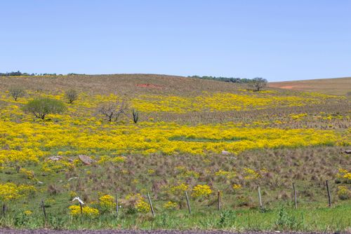 19GG404