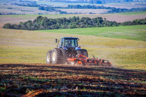 Agricultor preparando a terra para plantação - ao fundo  pampa gaúcho com campos e mata nativa