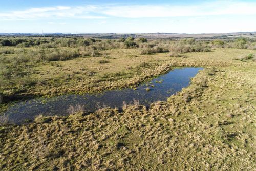 Vista de drone de campos da Área de Proteção Ambiental do Ibirapuitã - bioma Pampa