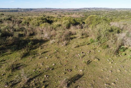 Vista de drone de campos da Área de Proteção Ambiental do Ibirapuitã - bioma Pampa