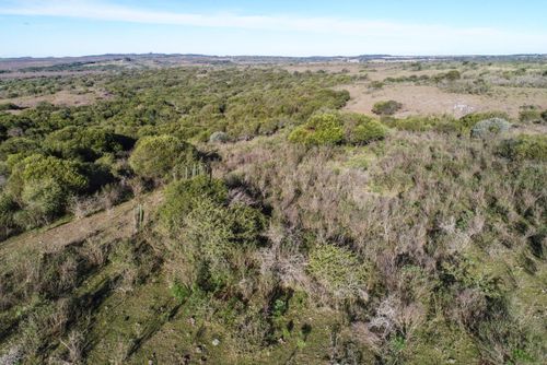 Vista de drone de campos da Área de Proteção Ambiental do Ibirapuitã - bioma Pampa