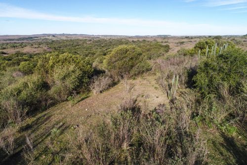 Vista de drone de campos da Área de Proteção Ambiental do Ibirapuitã - bioma Pampa