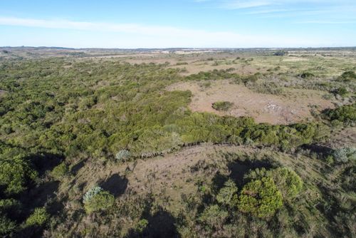 Vista de drone de campos da Área de Proteção Ambiental do Ibirapuitã - bioma Pampa