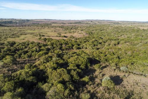 Vista de drone de campos da Área de Proteção Ambiental do Ibirapuitã - bioma Pampa