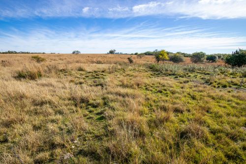 Campos da Área de Proteção Ambiental do Ibirapuitã - bioma Pampa