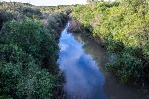 Rio Ibirapuitã próximo da sua nascente na Área de Proteção Ambiental do Ibirapuitã