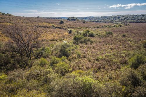 Campos da Área de Proteção Ambiental do Ibirapuitã - bioma Pampa
