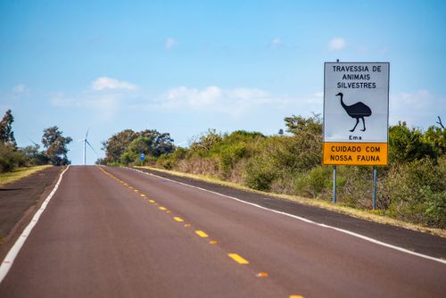 Placa alerta sobre travessia de animais silvestres na Rodovia BR-293 na Área de Proteção Ambiental do Ibira