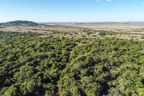 Vista de drone do Cerro do Jarau - cadeia de morros no pampa gaúcho